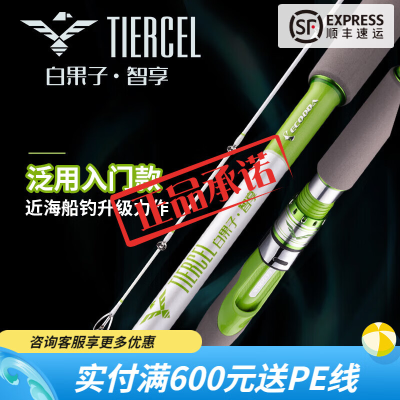 伊酷达（ECOODA）白果子智享ETZB新手泛用入门级近海船钓竿钓底路亚钓鱼竿夜光竿稍 40号2.4米M调直柄ETZB-802MS