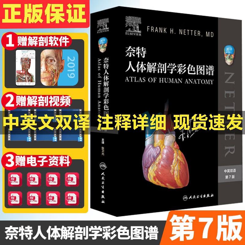 【买一赠三】奈特人体解剖学彩色图谱第7版七解剖学彩色图谱教材书局部系统解刨学解破学人体图鉴正常医学全彩格氏耐特基础法医书 人卫正版