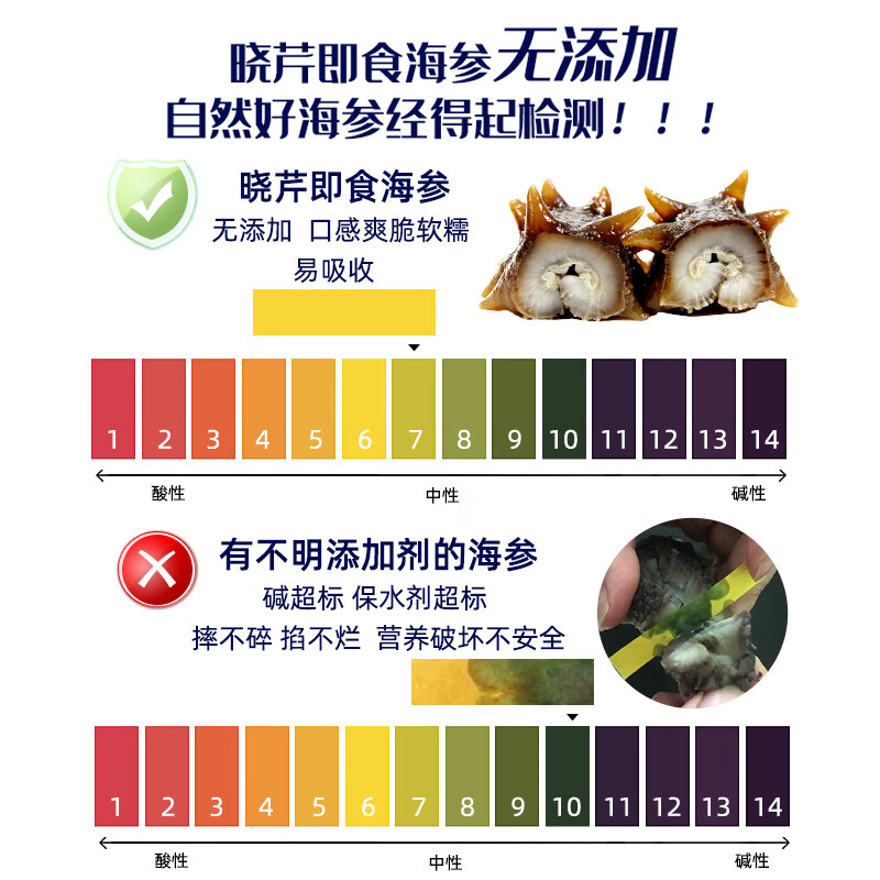 晓芹 大连即食海参 1500g 固形物75%以上  35-50只 辽刺参