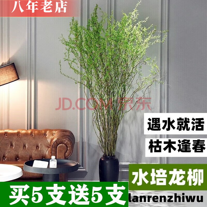 Ż֦ˮ֦ˮֲڿسʻ1.5 10֦1.5Ҹ