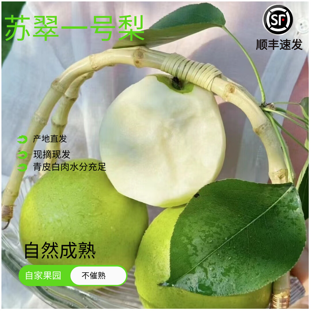 产地直发正宗苏翠一号蜜梨新鲜青酥脆梨 2斤装【单果250g 】