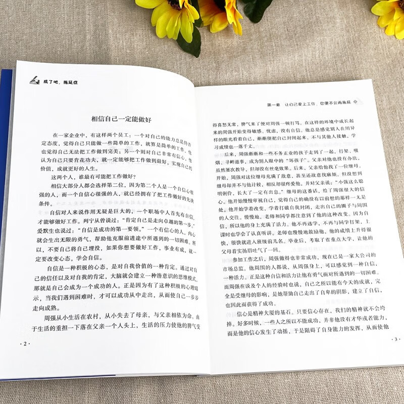 戒了吧，拖延症（学会沟通 情感培养 励志培养 自我激励）详情图