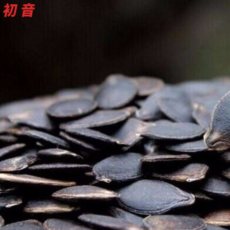千畅安怒江老窝乡新货黑金刚瓜子生原味瓜籽零食黑南瓜子500g1斤黑