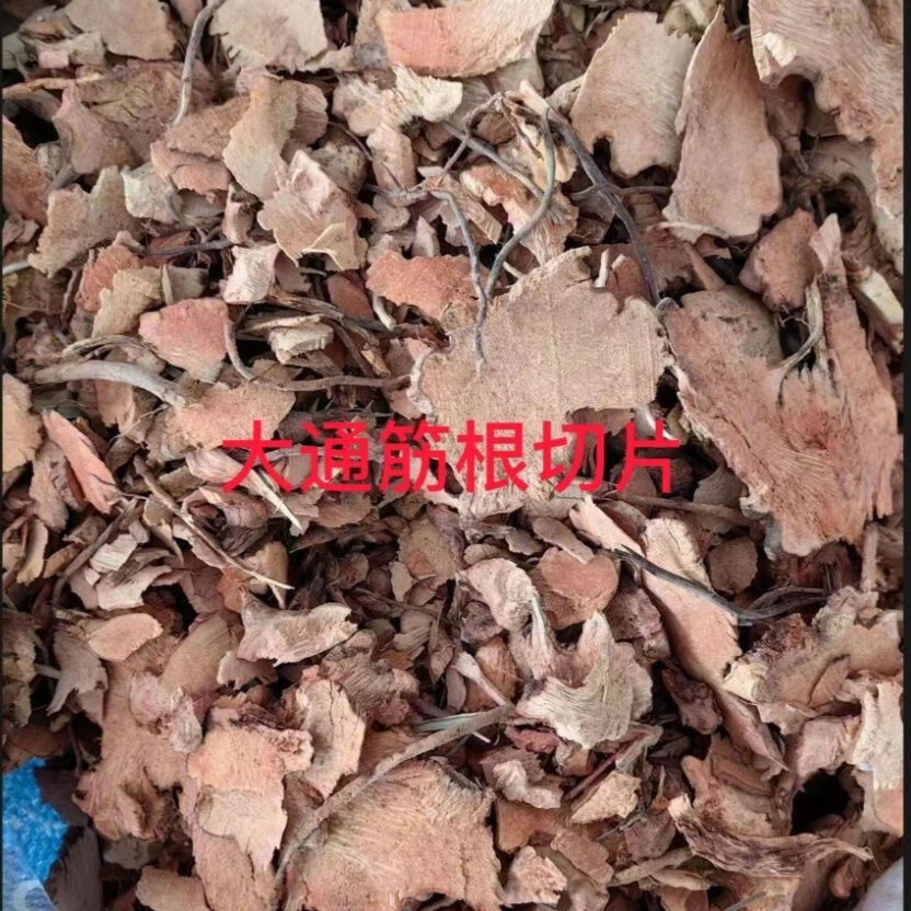 北京同仁堂当季大通筋根野生中药材晒干无硫大通根泡酒煮水喝原生态