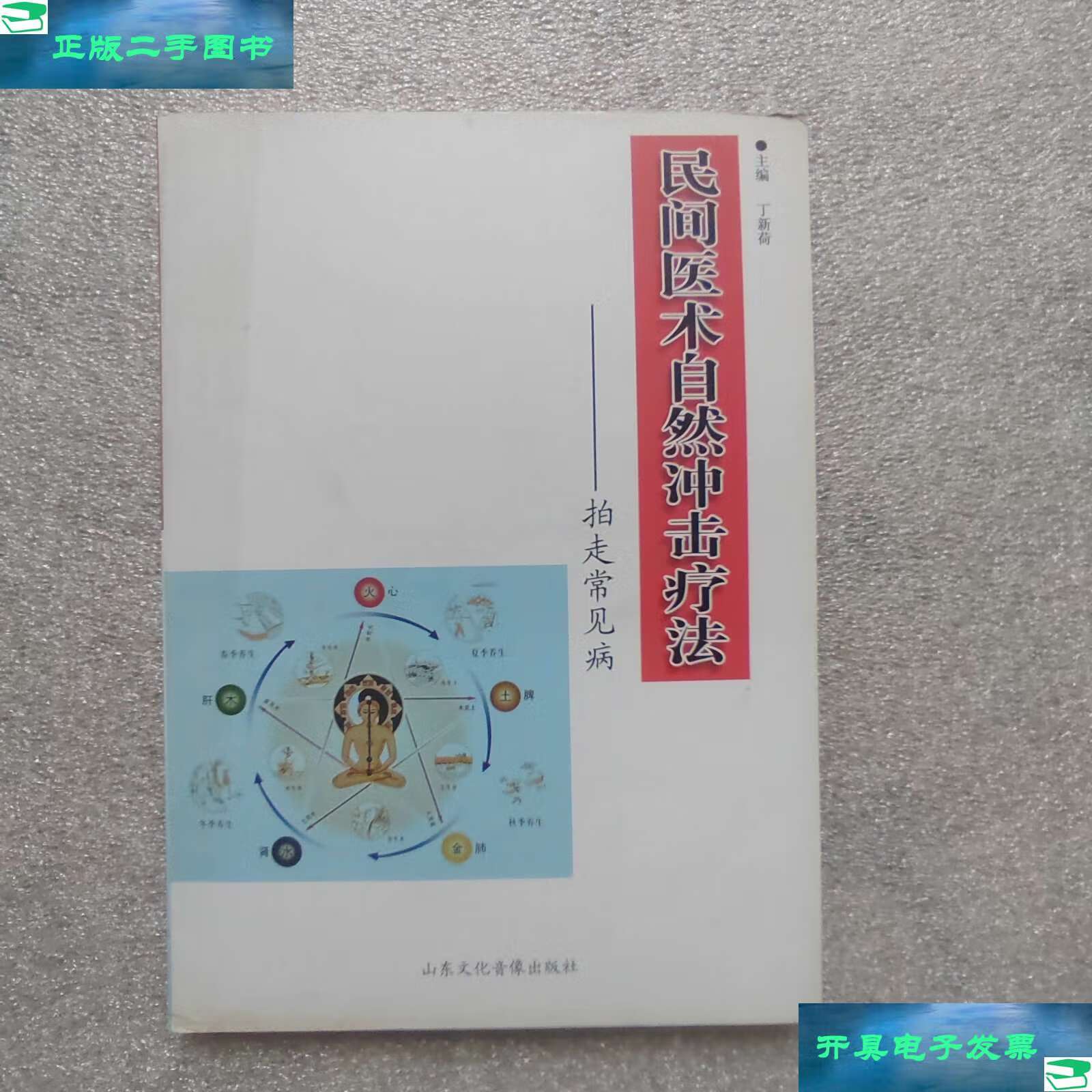 【二手9成新】民医术自然冲击疗法 /丁新荷 山东文化音像