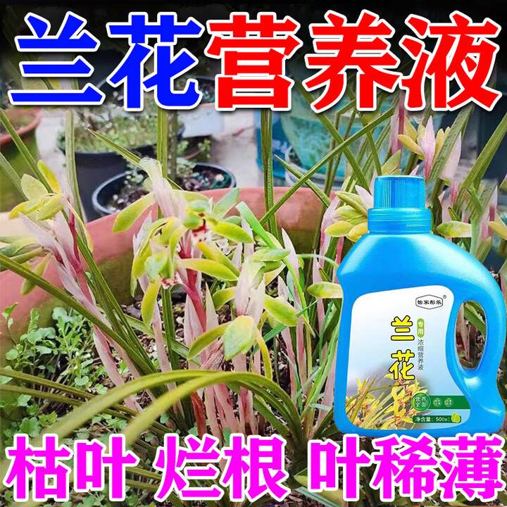 兰花肥料专用肥植物黄叶黑斑病促开花素营养液爆芽浓缩冒花新芽素 一瓶装 京东折扣/优惠券