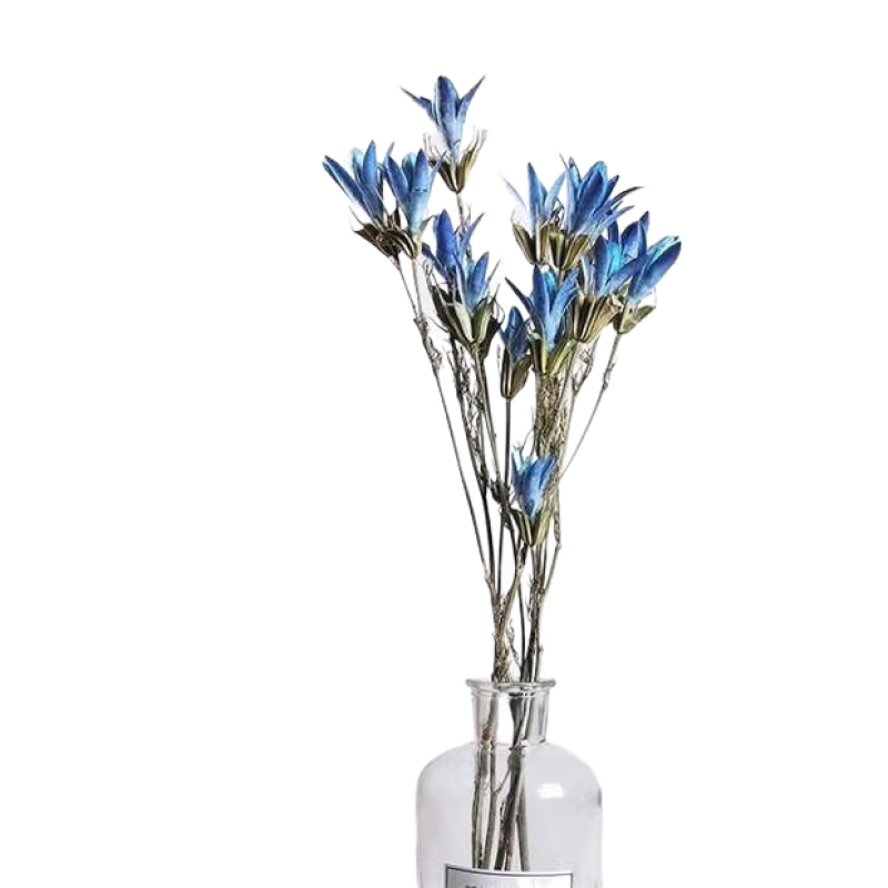 ������AIMAN�� ���ϸɻ�������Ȼ�滨�˽ǻ�������С�ٺϿ���װ����װ���� ��ɫ��1��30�����䣩