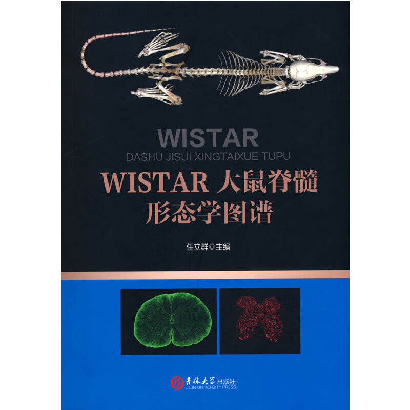 wistar大鼠的脊髓形态学图谱