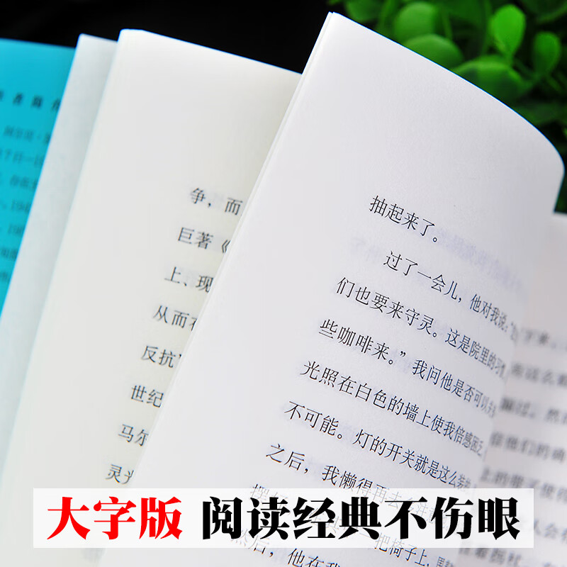 局外人 阿尔贝加缪著外国小说小说集存在主义文学 外国文学小说世界名著荒诞主义经典课外阅读书籍 局外人