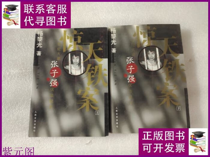 惊天铁案(上下) 人民文学出版社二手书