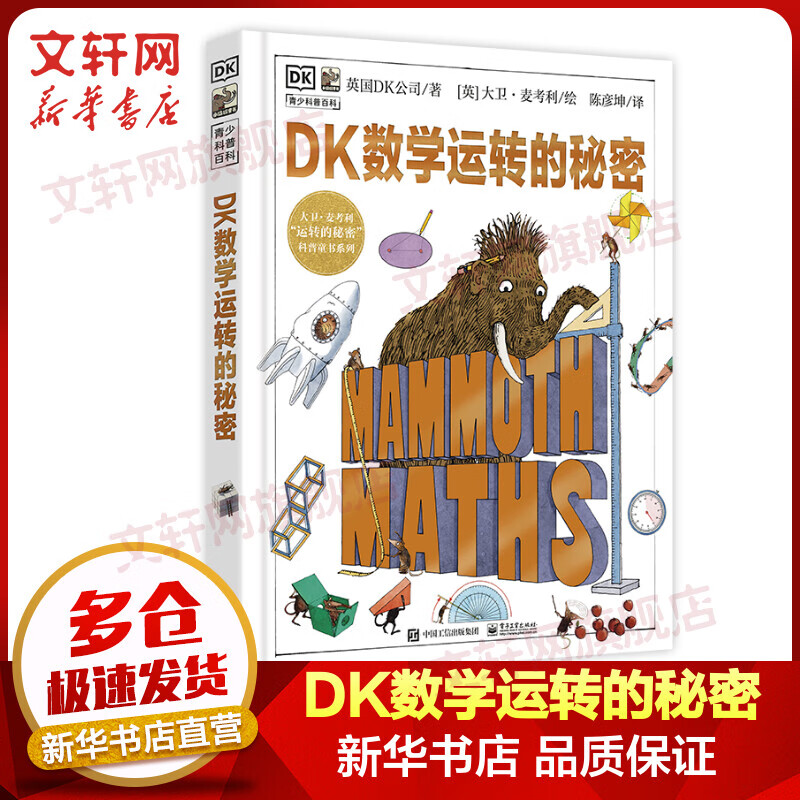 DK数学运转的秘密 英国DK公司 儿童青少年科普大百科全书 儿童数学学科启蒙读物书籍 电子工业出版社6-13岁