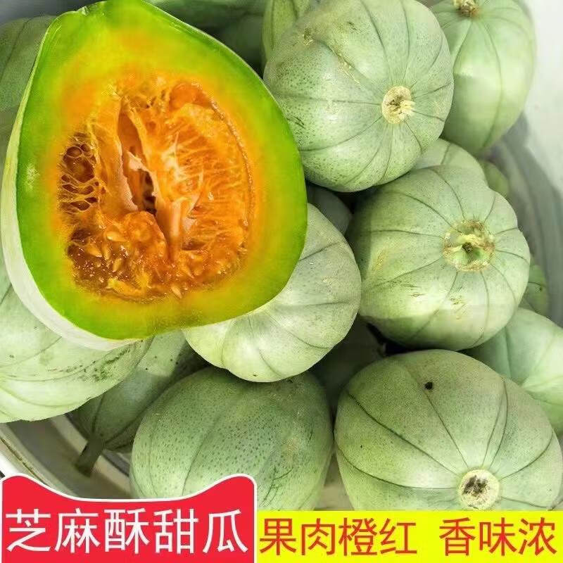 芝麻酥甜瓜种子酥脆爽口四季早熟蔬果种子好吃易种夏季甜瓜种子 芝麻
