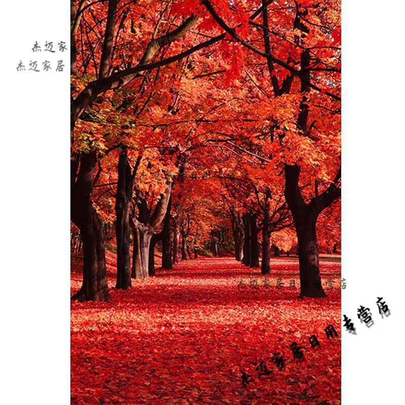 奥尔瑞美 树木森林风景画红枫树枫叶黄金满地客厅走廊过道玄关装饰壁