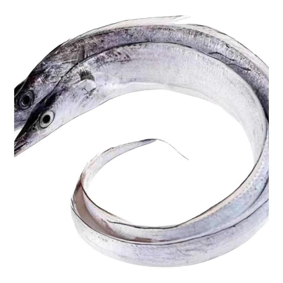 七條船舟山雷達(dá)網(wǎng)釣帶魚(yú)大號(hào)油帶新鮮野生海魚(yú)海鮮水產(chǎn)東海小眼睛黑刀魚(yú) 1斤/1條