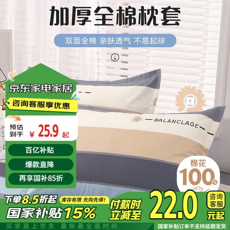 艾薇枕头套枕套一对纯棉家用全棉单人枕套枕芯套 罗马时代 48*74cm