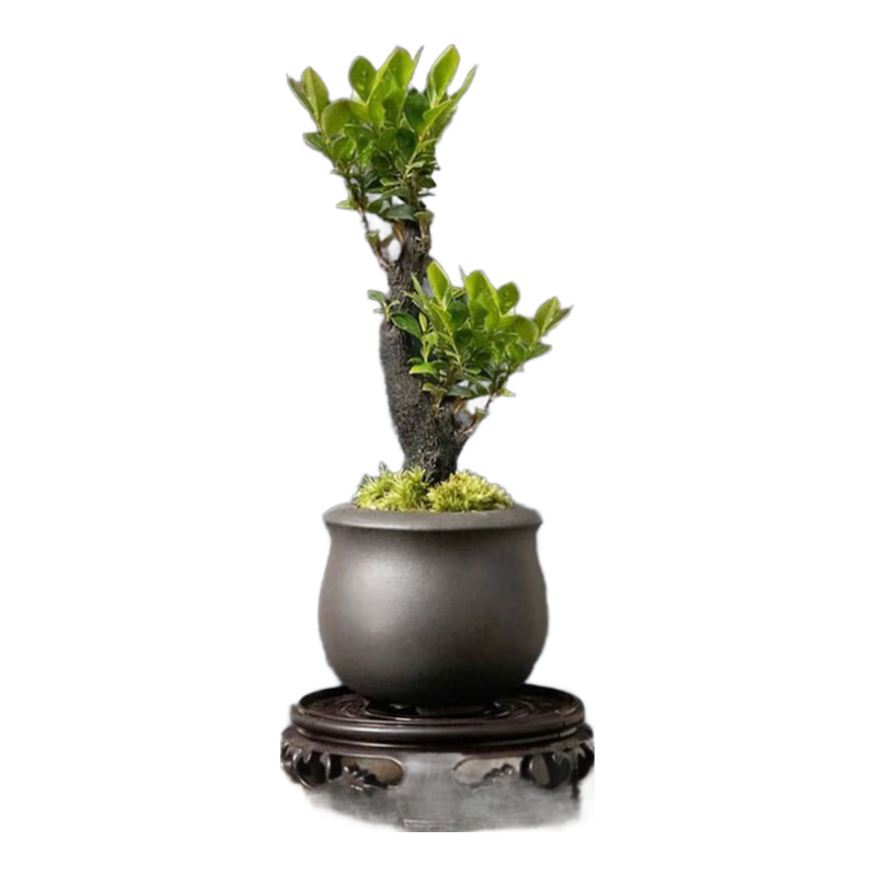 ����СҶ��̴�辰����������׮�����칫����ֲ�������ļ�����Դͷֱ��