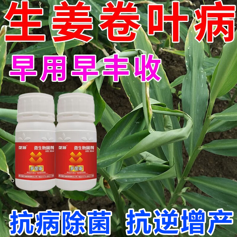生姜卷叶病专用烂脖子病根腐病姜瘟病茎基腐病枯萎仔姜洋姜叶面肥