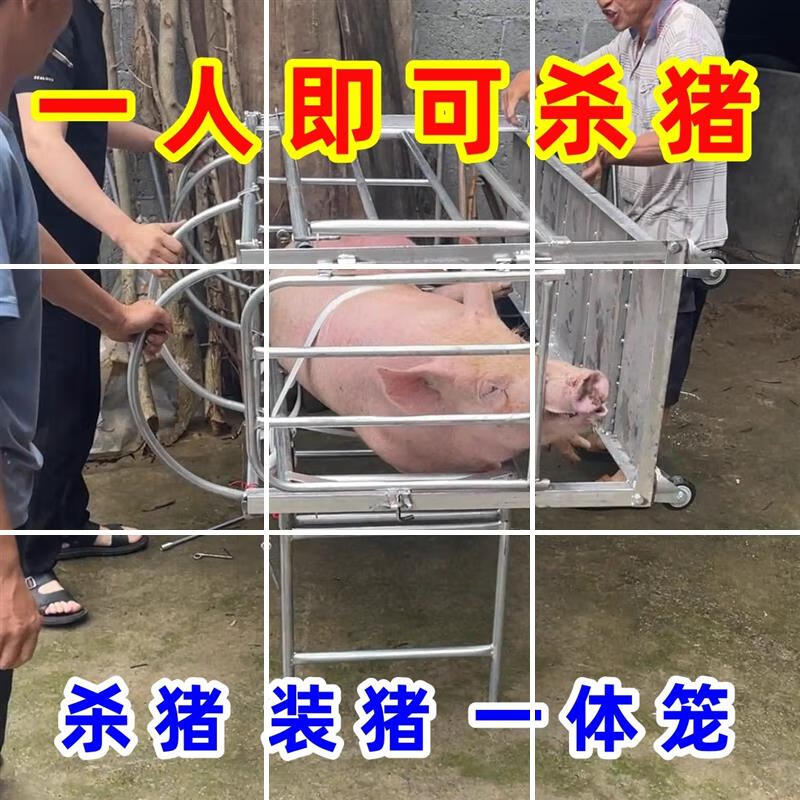 抓猪运猪称重 养殖屠宰场杀转运笼子 杀猪运猪称重普配款