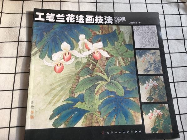 工笔兰花绘画技法