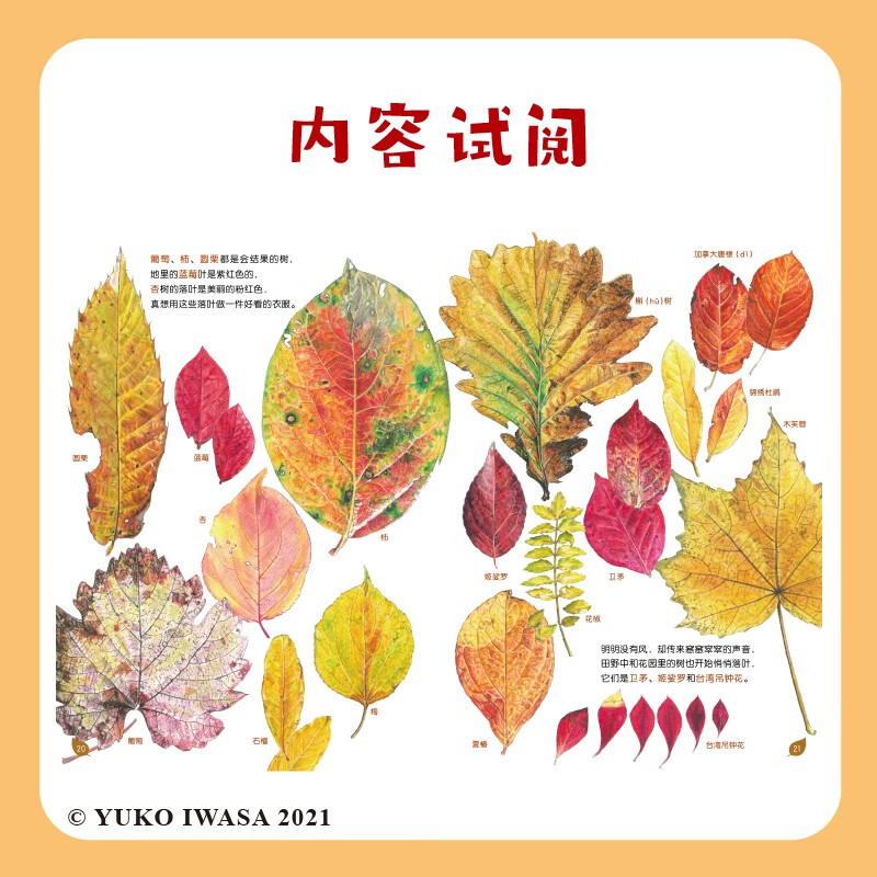 落叶中的自然课，自然科普、美术欣赏、生命教育，认识122种植物和它们的落叶，给孩子一座纸上植物园！详情图