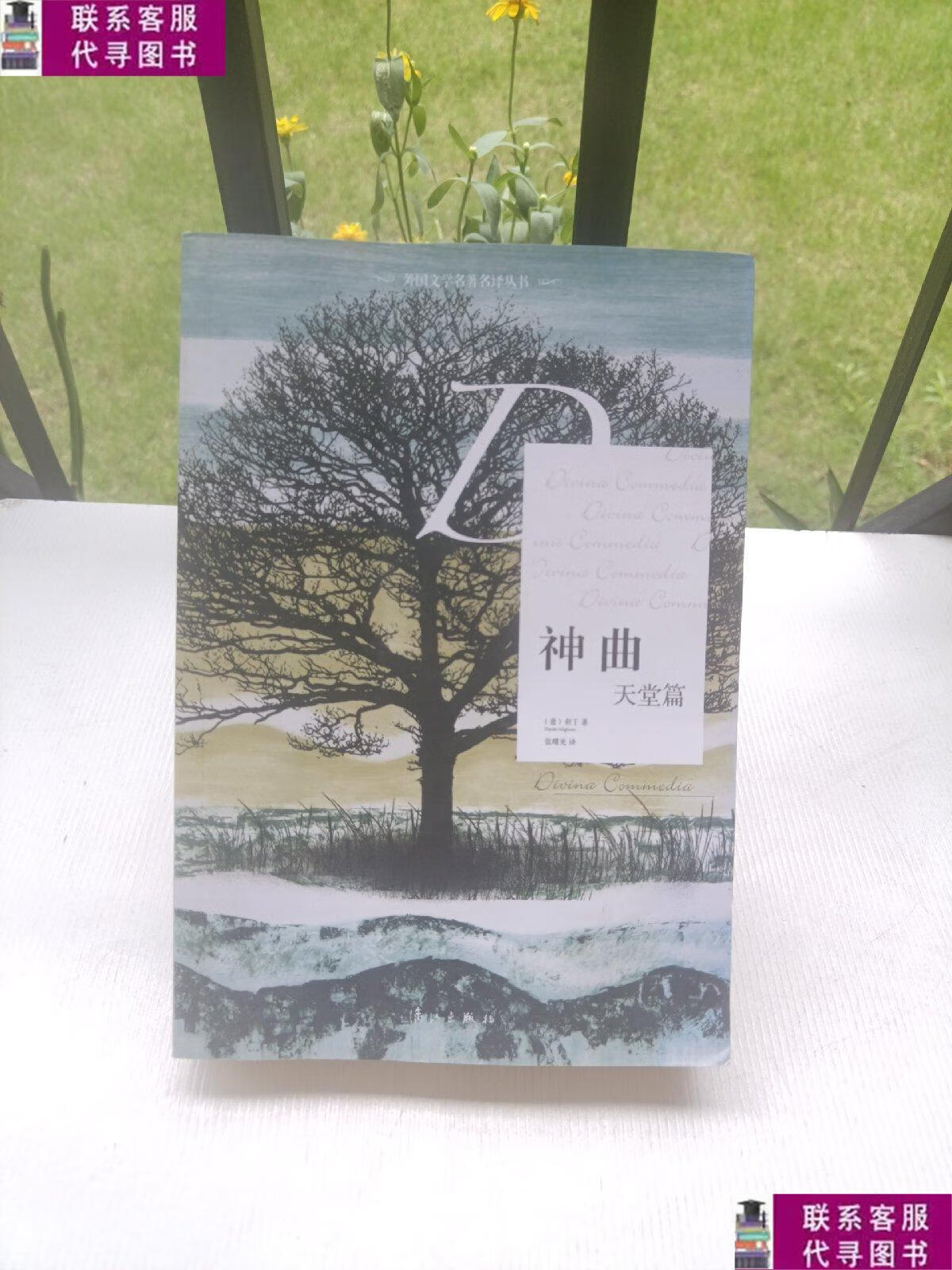 【二手9成新】神曲 天堂篇 /但丁 漓江出版社