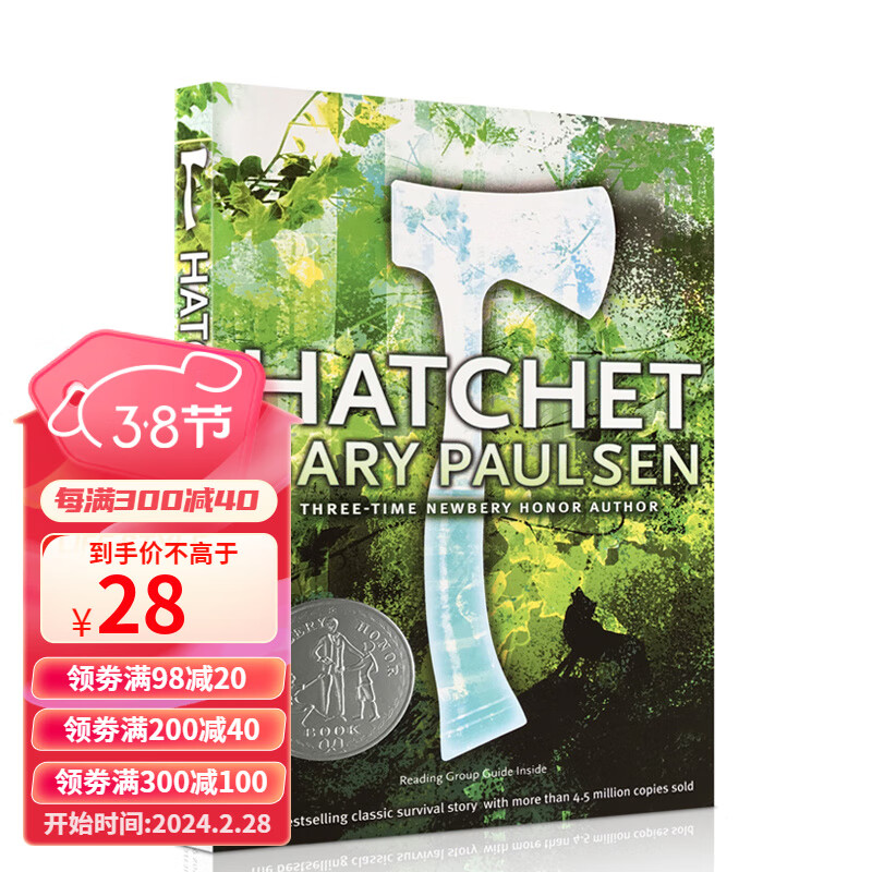 英文原版进口 Hatchet 手斧男孩 一个小男孩和一把手斧的荒野生存 纽伯瑞大奖绘本