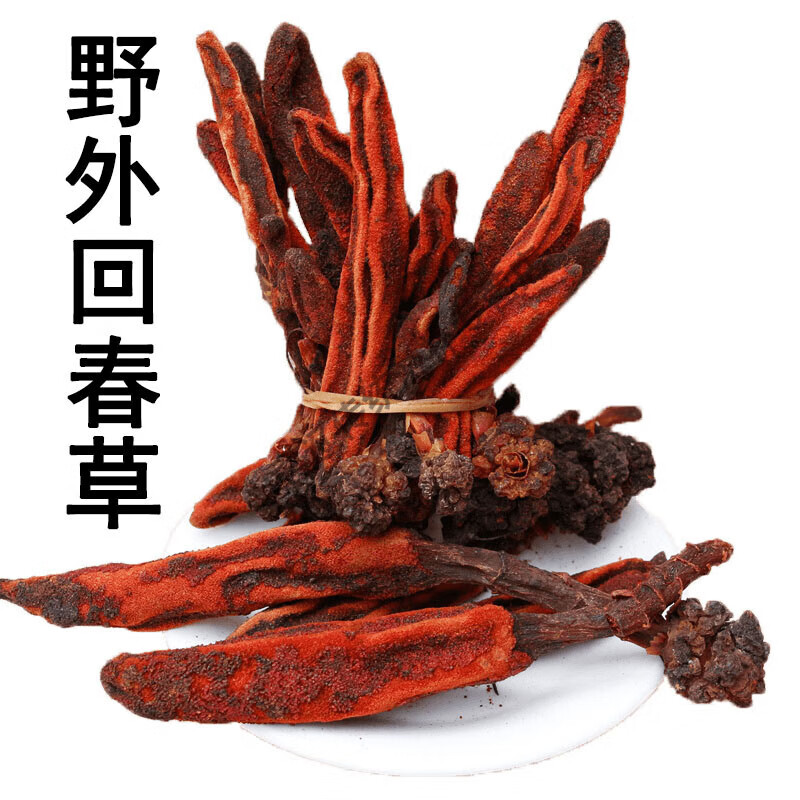 云南野生回春草500克 中药材回春草 泡水 泡酒 特级 精选回春草