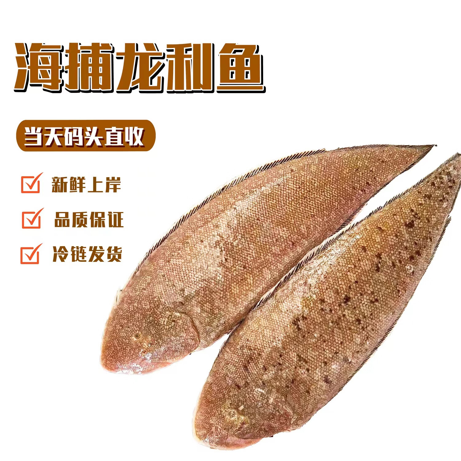 乃鮮海產(chǎn)品鮮活龍利魚又名舌頭魚踏板魚牛舌魚塔米魚新鮮冷凍整條發(fā)出 2斤優(yōu)惠價(jià) 小號(hào)每斤約5-7條
