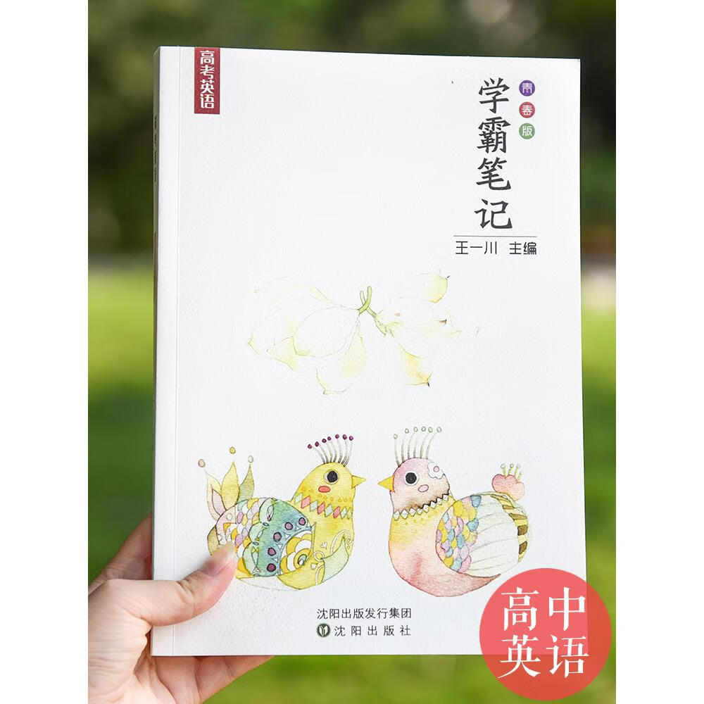高一高二高三王一川学霸笔记高中英语高考状元提分笔记学霸笔记英语