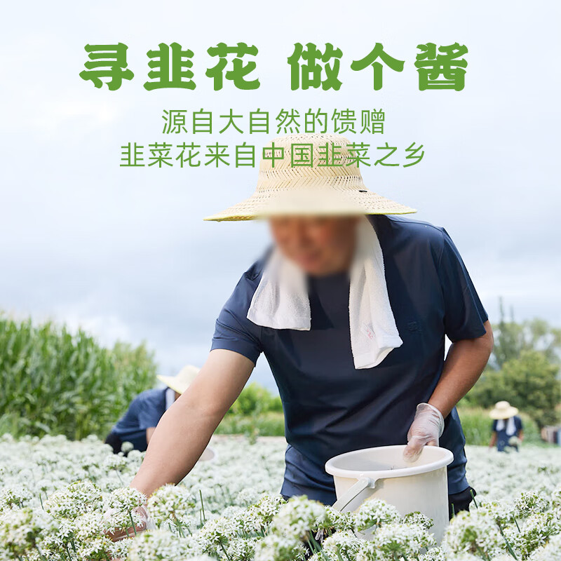 草原红太阳大朵韭花酱200g野生草原特产下饭酱牛羊肉火锅蘸料调料大粒韭花酱 大朵韭花酱200g*3瓶