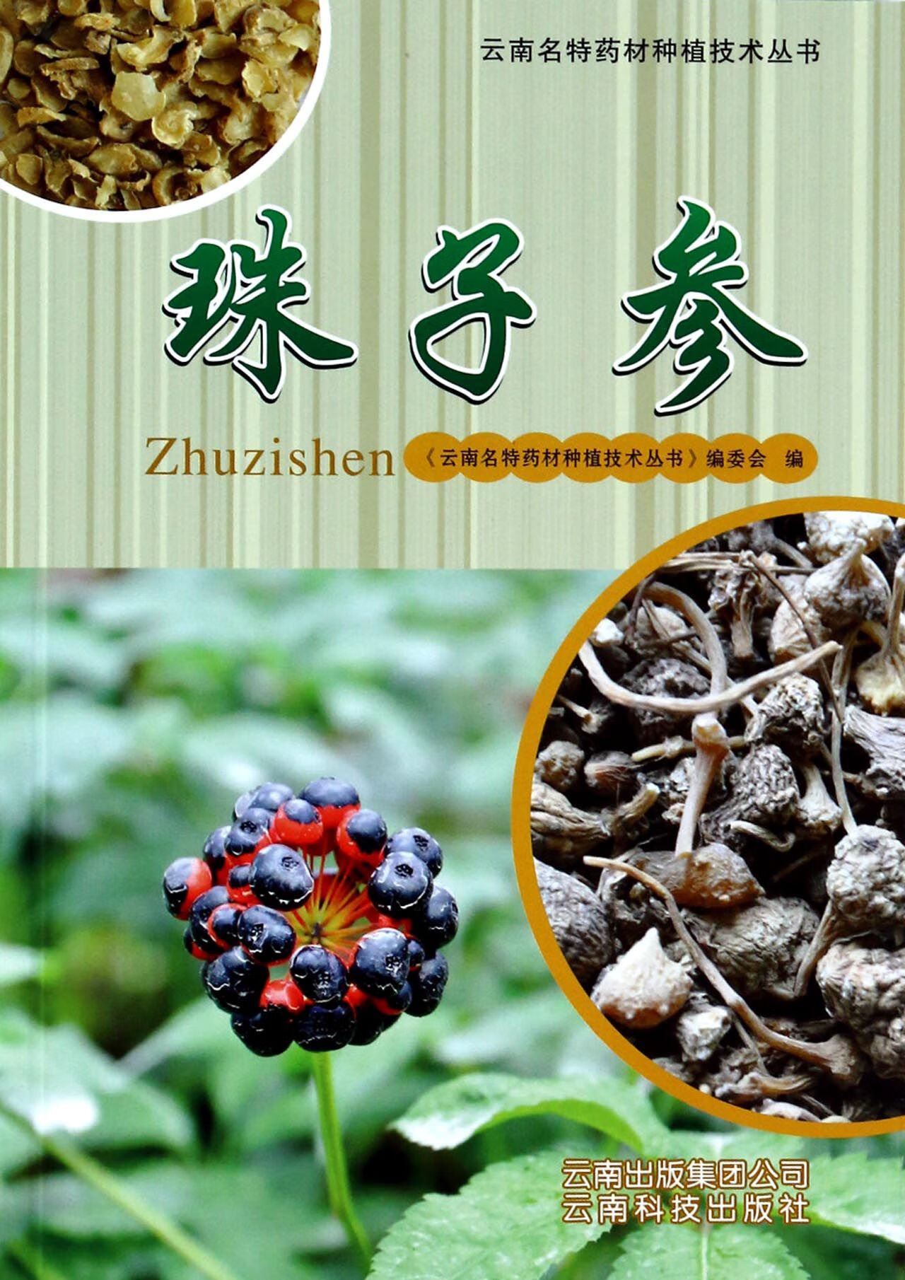 【正版】珠子参/云南名特药材种植技术丛书赵仁//苏豹//和国海//杨杰