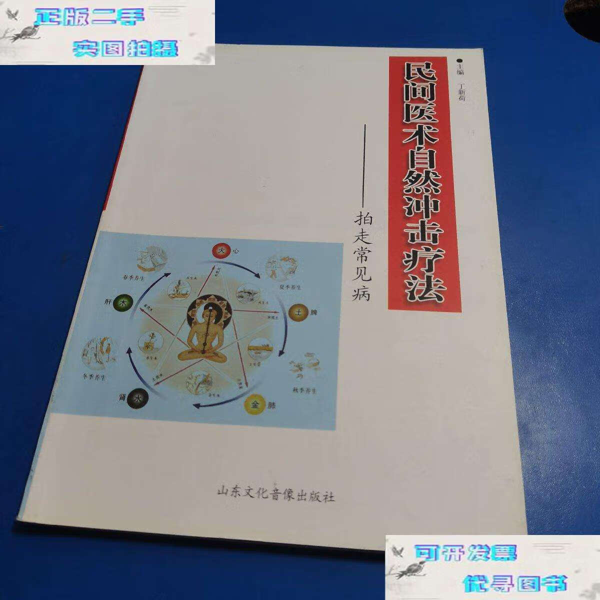 【二手9成新】民间医术自然冲击疗法 拍走常见病 /丁新荷 山东文化