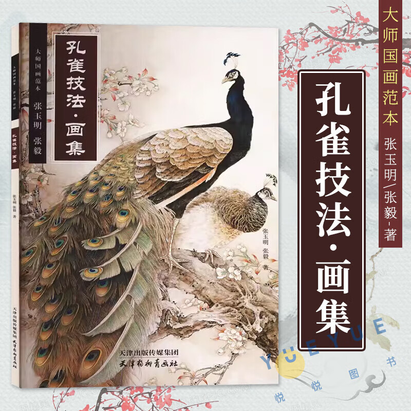 国画孔雀技法与赏析孔雀画法入门教学 绘制基础入门步骤基础画谱临摹