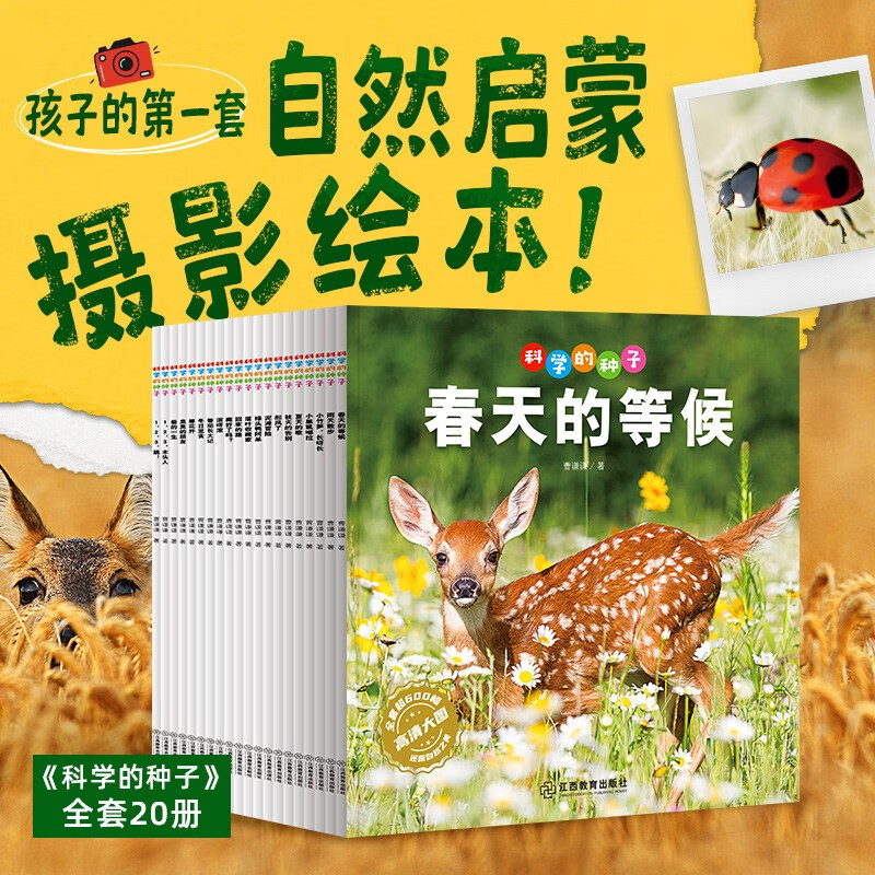 科学的种子：夏天的歌3-8岁儿童百科认识科学概念 养成科学思维 激发科学探索欲详情图