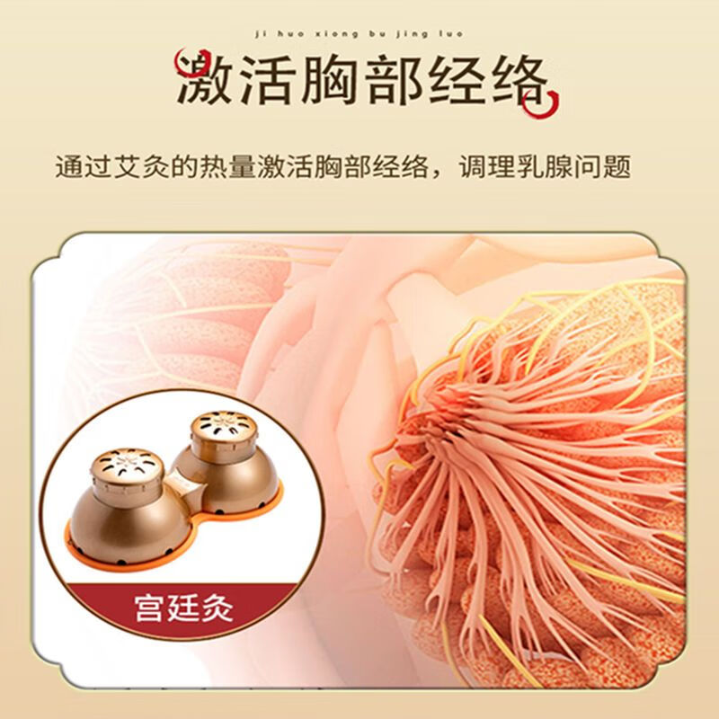 女士胸部艾灸多功能胸部专用艾灸盒艾灸熏蒸仪艾灸仪器理疗宫寒乳腺调理艾灸罐 胸部艾灸盒套装（布套 虑烟冒）无艾柱