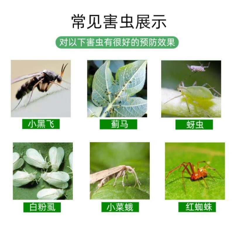 园艺防虫片花卉糖化硼肥片绿植驱虫片厂家直供盆栽病虫害 80g/瓶(约
