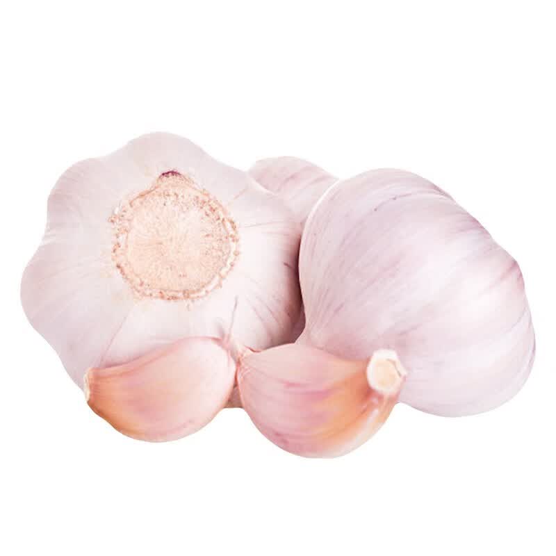 山东大蒜头 颗粒饱满 新鲜蔬菜生鲜蒜现货速发 调味蔬菜品 优选大蒜头（单果约5.0cm 净重3斤）