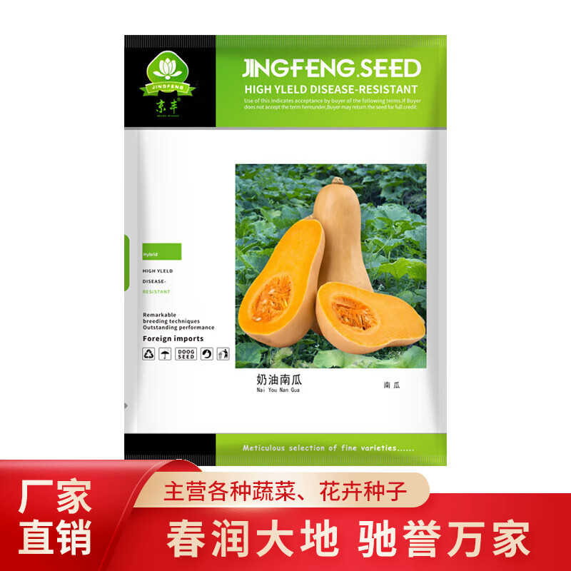 福顺德奶油南瓜种子超甜奶油味老南瓜软糯甜阿根廷小南瓜种籽基地春秋