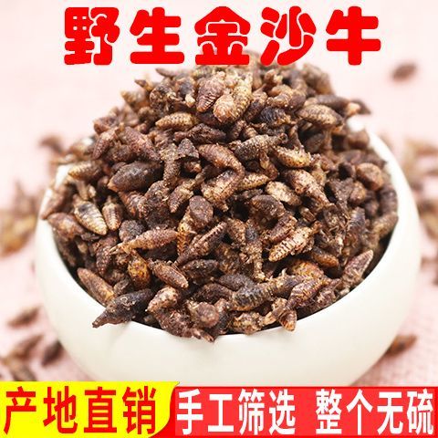 北京同仁堂金沙牛中药材地牯牛整只野生倒退虫蚁狮金砂牛特级水洗金沙