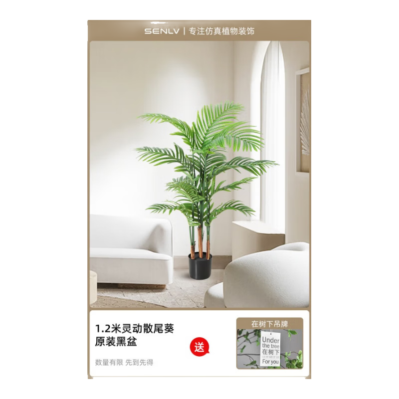 δŷ������ֲ��ֲ��߶����ݴ�����������װ�ΰڼ�ɢβ�����滨���� 120cm �鶯��ɢβ�� 250Ԫ��4��(��62.5Ԫ/��)