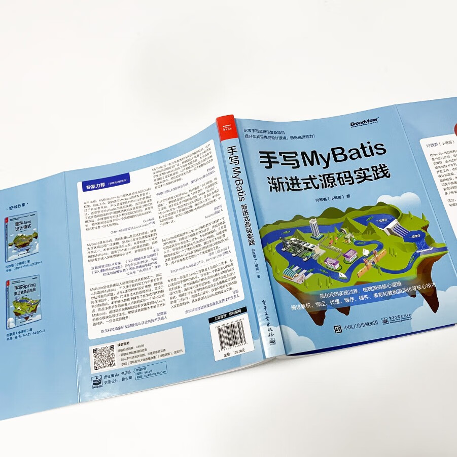 手写MyBatis：渐进式源码实践（全彩）