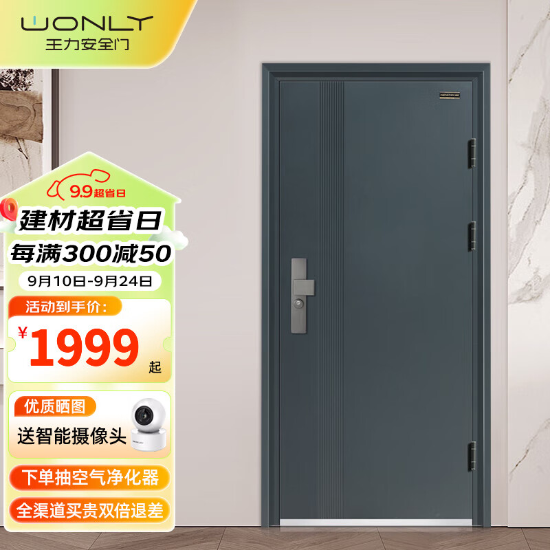 wl王力能诚甲级防盗门家用入户门进户门智能子母门单门大门nc9601