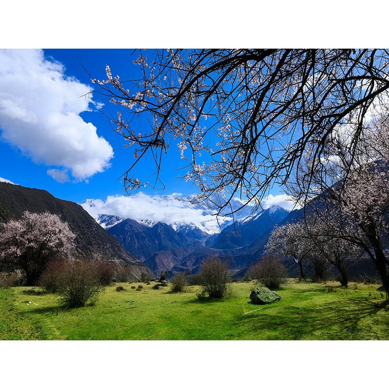 背景山水房子直播背景布立体3d山水农村老房背景布 图片一样的2米宽1