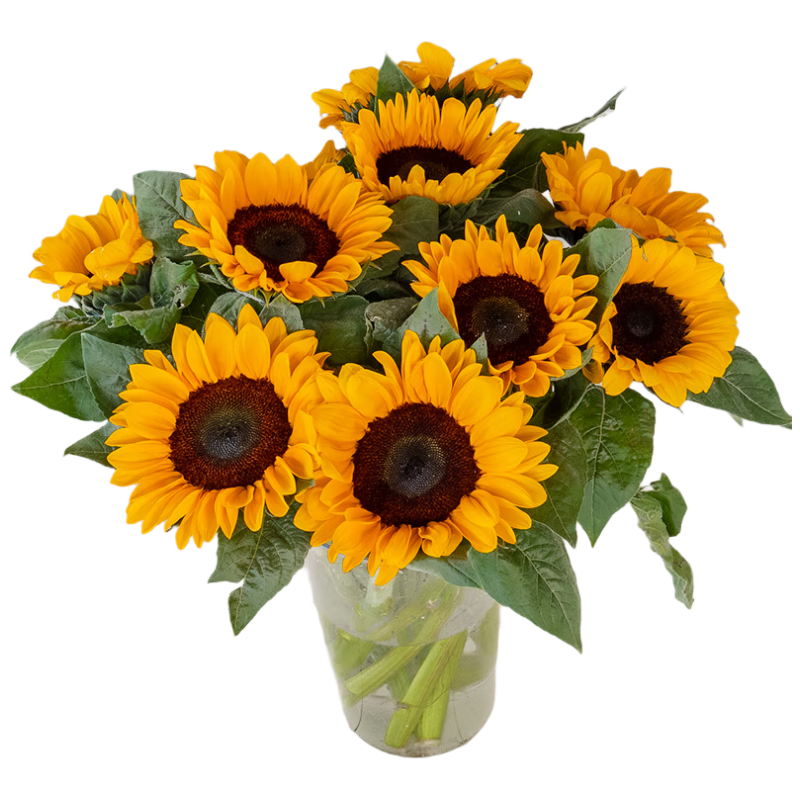 �����ʻ����տ����л������ʻ�ˮ���������տ�5֦����Դͷֱ��