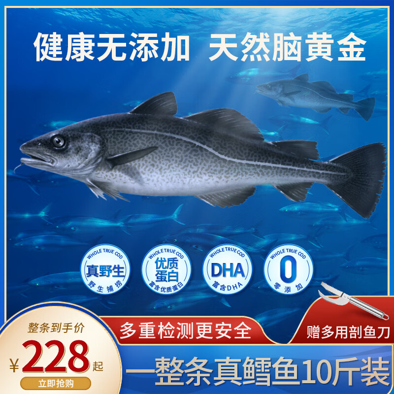 京东新品首发 2024-01-08 - 第15张  | 最新购物优惠券