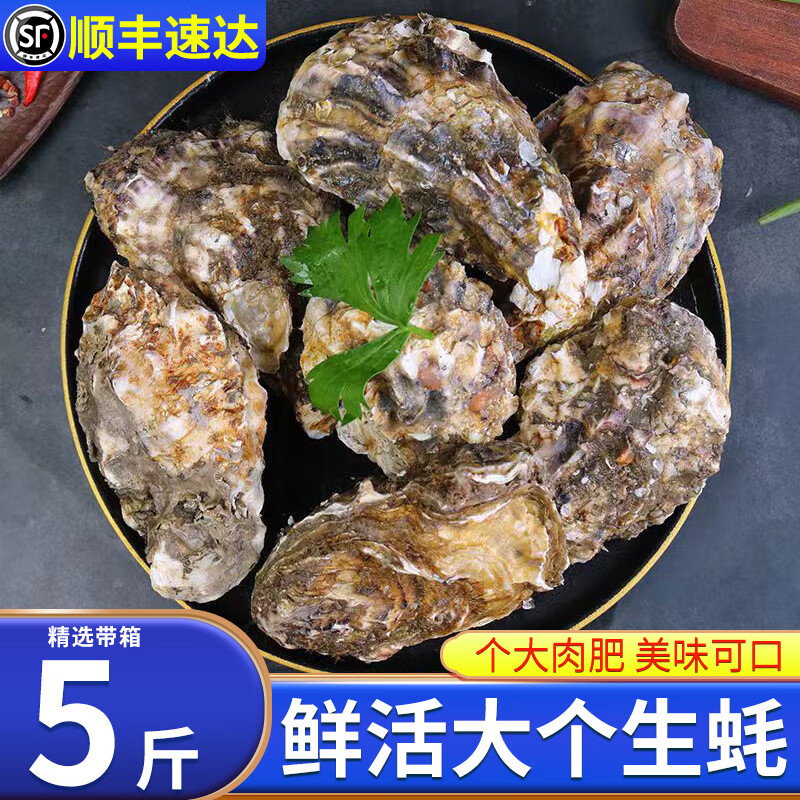 郎纳新威鲜活生蚝新鲜海捕牡蛎带壳整箱海蛎子海鲜水产 l(40-48个)