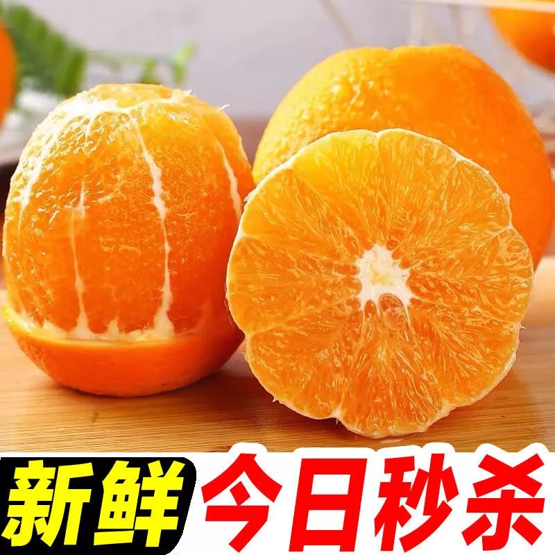 【现发】橙子新鲜现摘薄皮甜橙应季水果整箱冰糖果冻橙 大果#(带箱9.6-10斤) 江边十年老树果(爆卖)