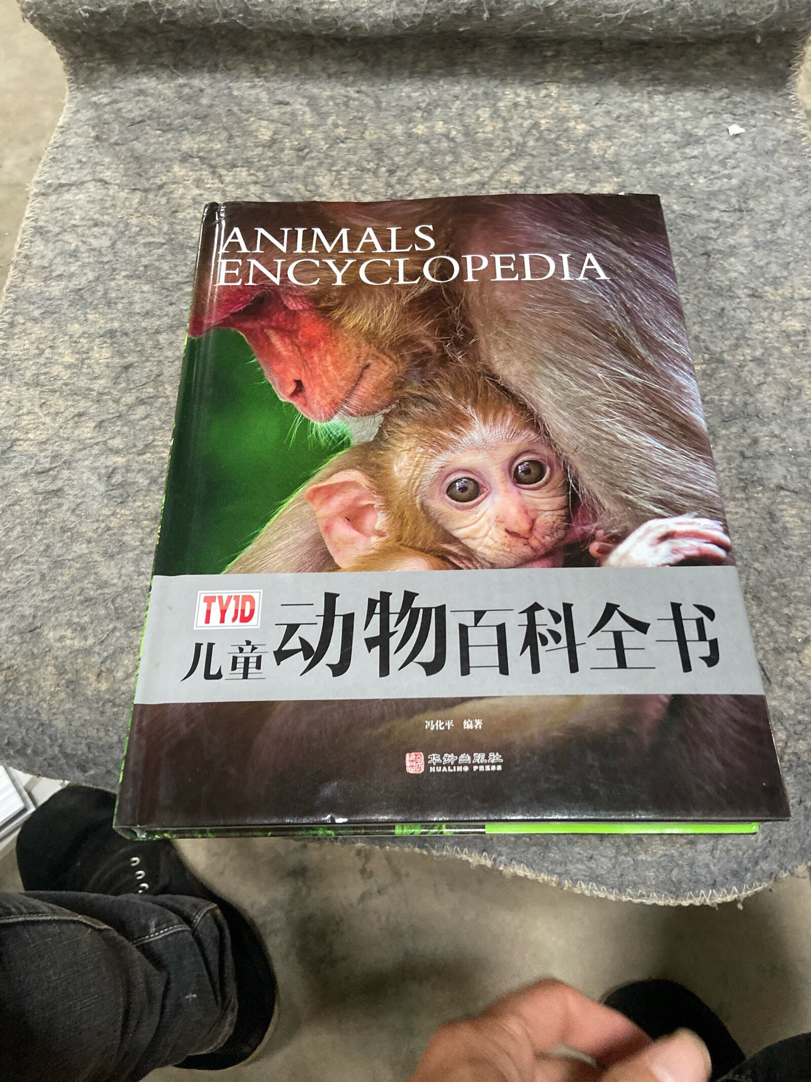 [二手9成新] 儿童动物百科全书