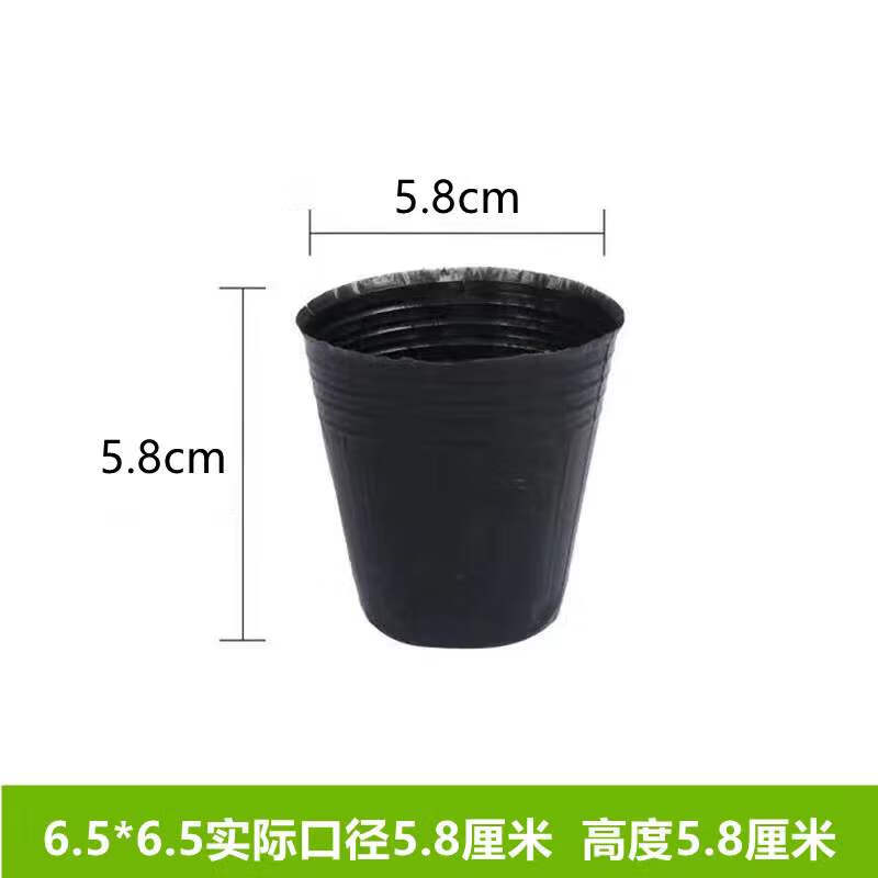枫麦萱营养杯育苗杯营养钵育苗盆塑料加厚一次性农用营养育苗袋花盆