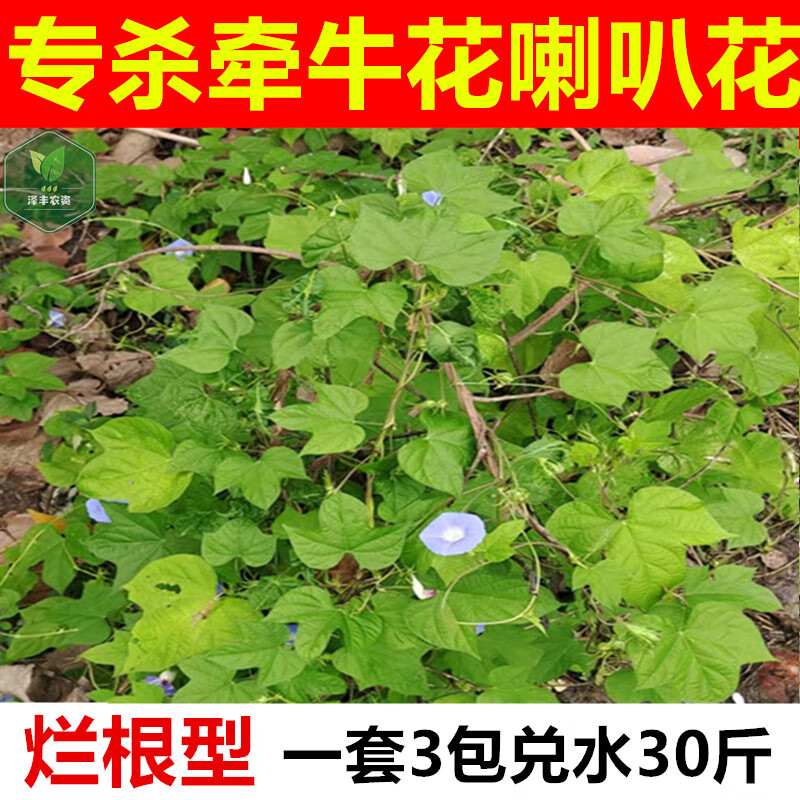 阔封专杀田旋花牵牛花爬藤专用药除拉拉秧除草烂根药灭阔叶杂草除草剂